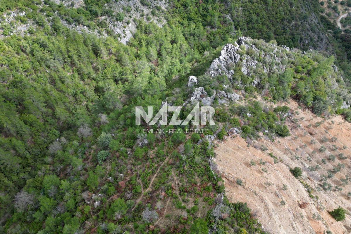 Alanya Kocaoğlanlı’da 1.845 M² Satılık Tarla - 10