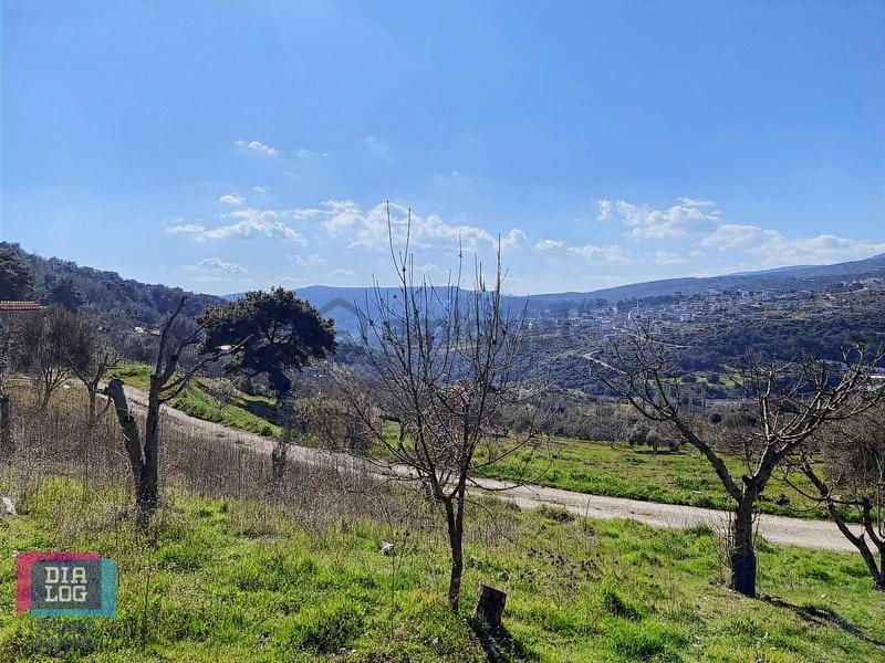 Karaçam'da Manisa Yoluna Yakın Tarla - 15