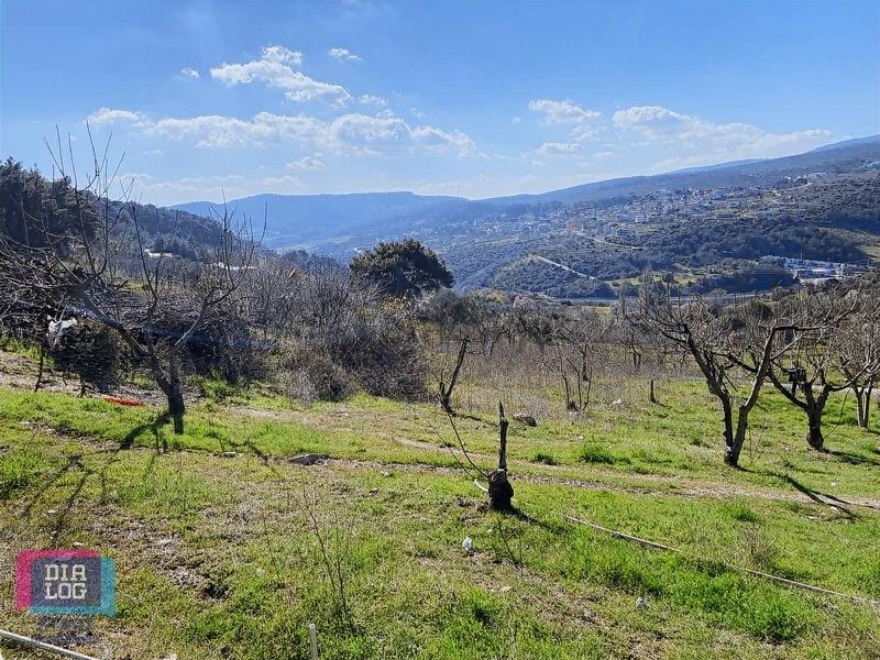 Karaçam'da Manisa Yoluna Yakın Tarla - 23
