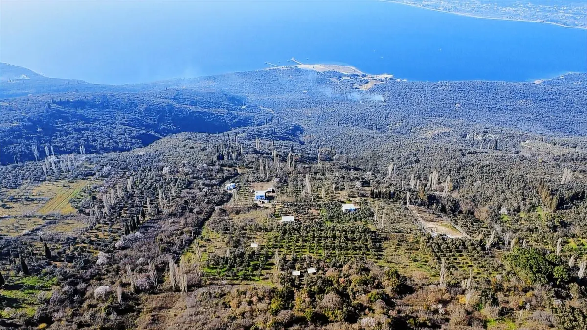 Edincikte Deniz Manzaralı 2.970 M² Satılık Bağ - 10