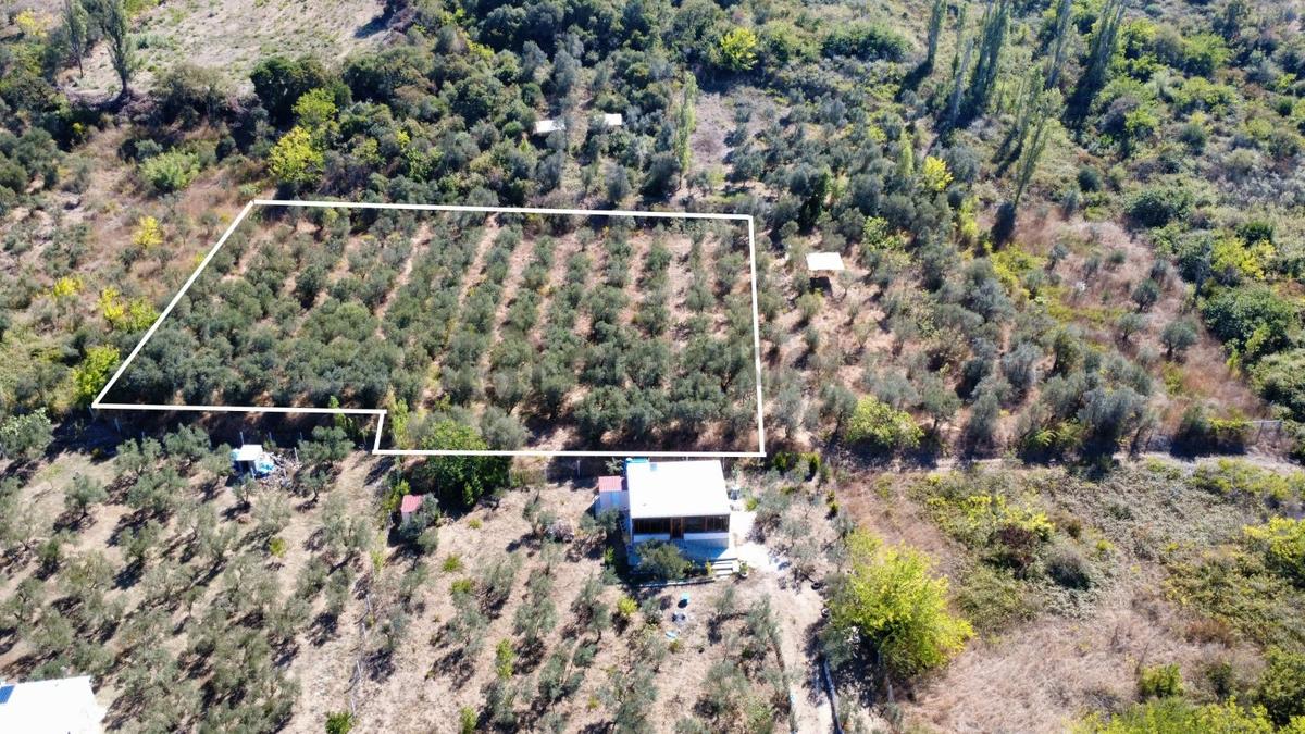 Edincikte Deniz Manzaralı 2.970 M² Satılık Bağ - 29