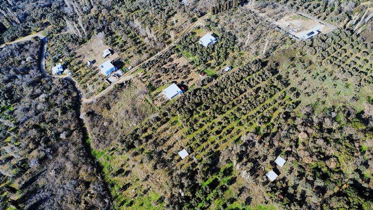 Edincikte Deniz Manzaralı 2.970 M² Satılık Bağ - 18