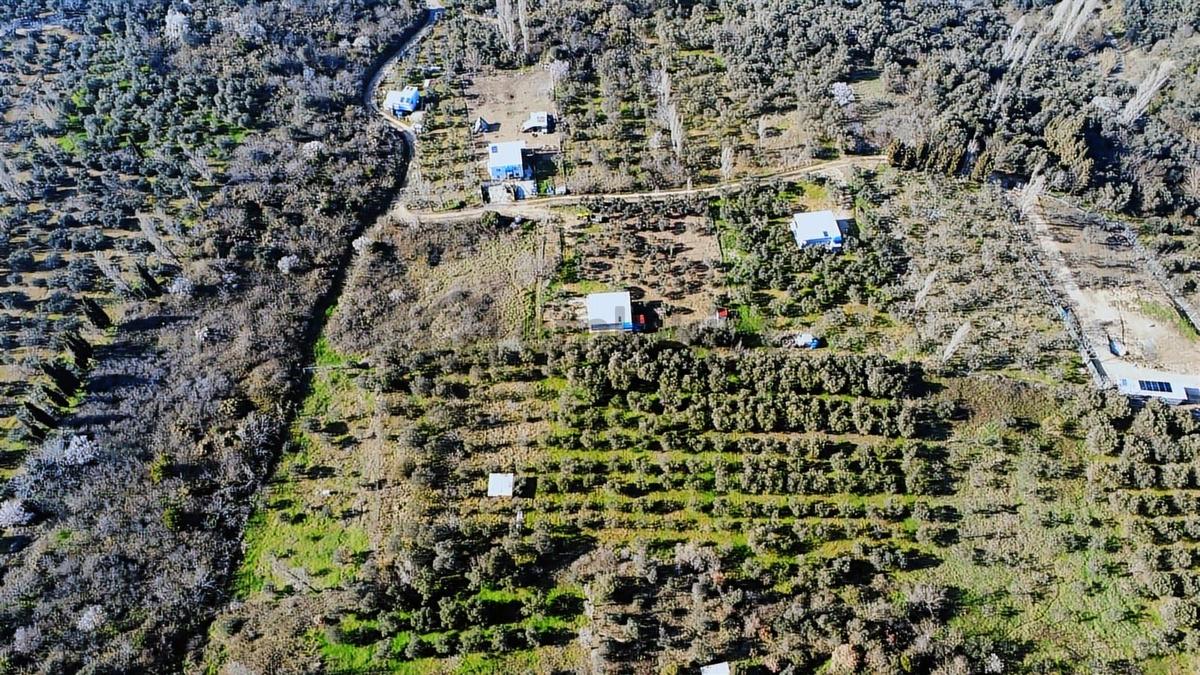 Edincikte Deniz Manzaralı 2.970 M² Satılık Bağ - 2