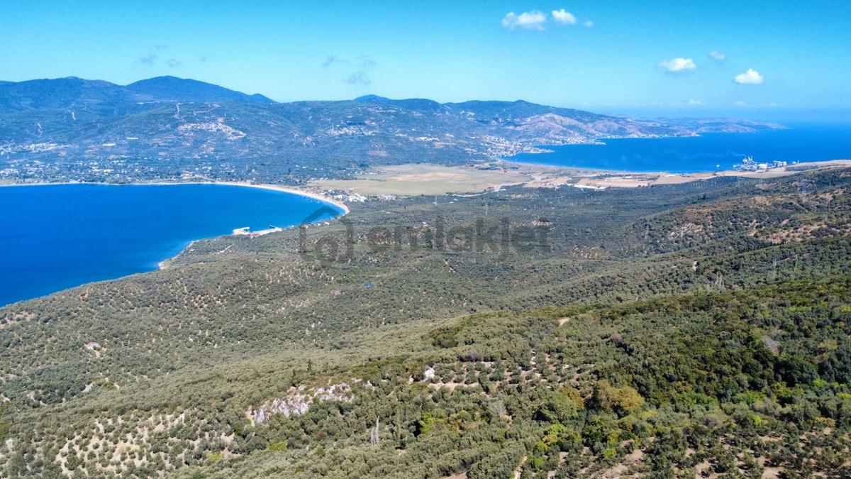 Edincikte Deniz Manzaralı 2.970 M² Satılık Bağ - 21