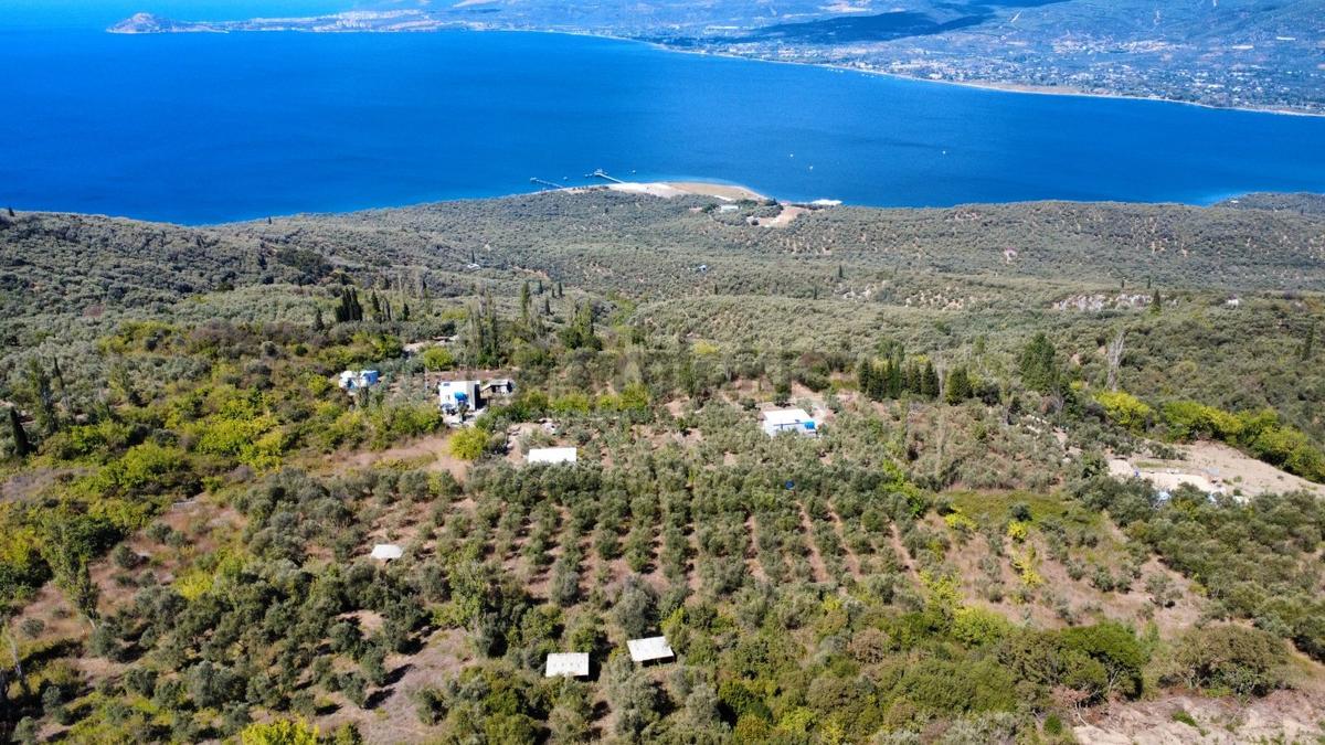 Edincikte Deniz Manzaralı 2.970 M² Satılık Bağ - 26
