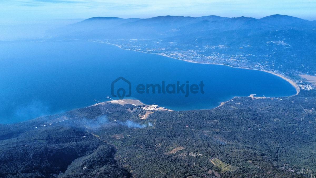 Edincikte Deniz Manzaralı 2.970 M² Satılık Bağ - 22