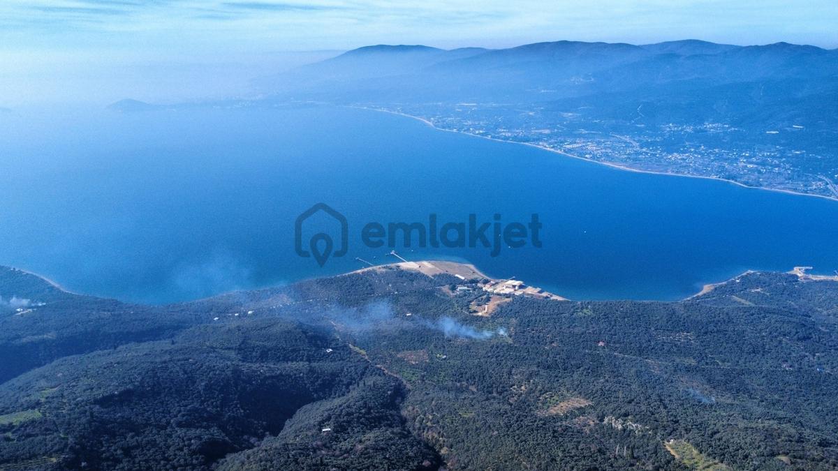Edincikte Deniz Manzaralı 2.970 M² Satılık Bağ - 23