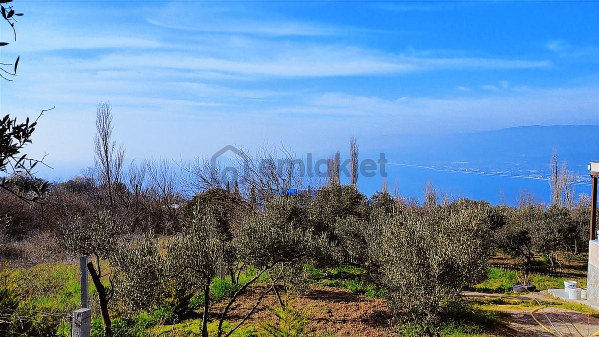 Edincikte Deniz Manzaralı 2.970 M² Satılık Bağ - 21