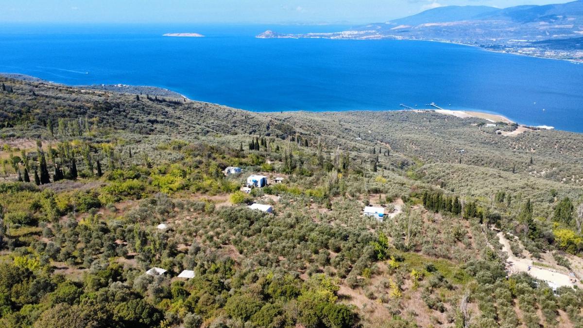 Edincikte Deniz Manzaralı 2.970 M² Satılık Bağ - 25