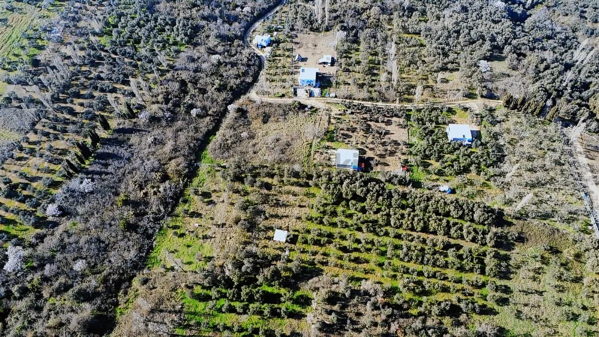 Edincikte Deniz Manzaralı 2.970 M² Satılık Bağ - 8