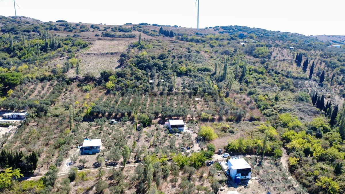 Edincikte Deniz Manzaralı 2.970 M² Satılık Bağ - 18