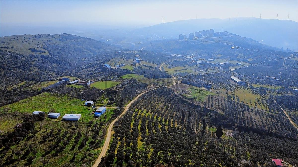 Edincikte Deniz Manzaralı 2.970 M² Satılık Bağ - 28
