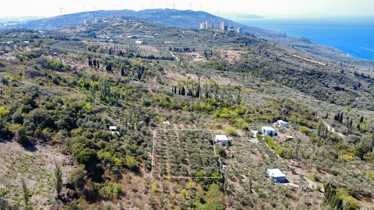Edincikte Deniz Manzaralı 2.970 M² Satılık Bağ - 28