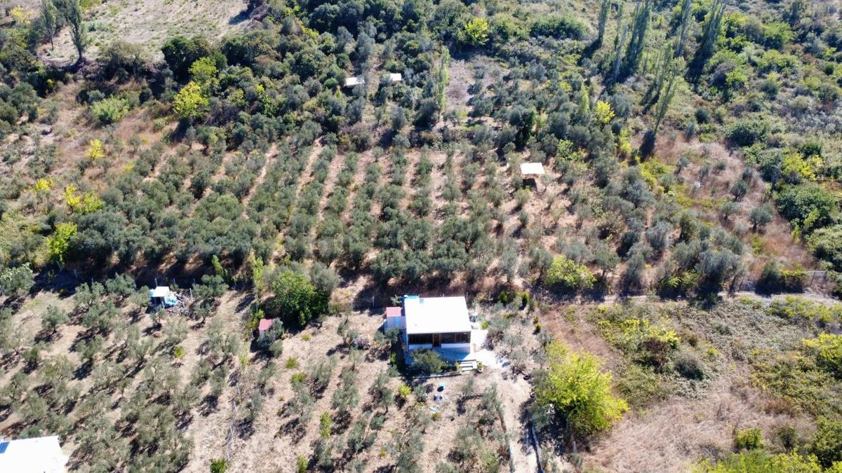 Edincikte Deniz Manzaralı 2.970 M² Satılık Bağ - 17