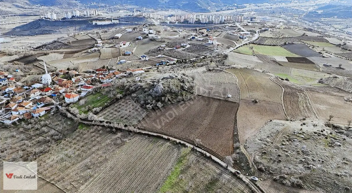 Dedeli Köyü'nde Satılık 3,769 M² Tarla | Vadi Emlak - 12
