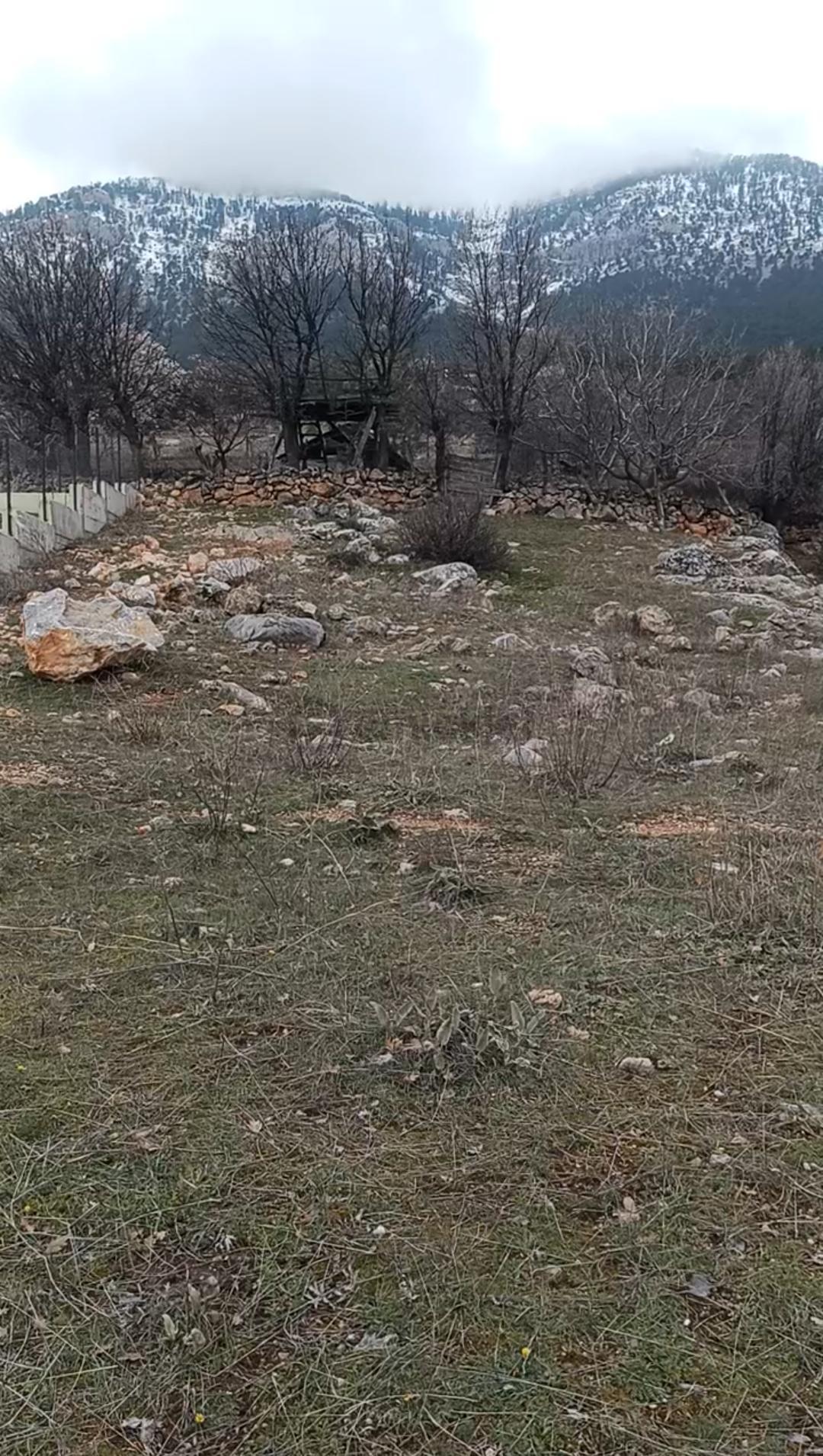 Pozantı Yenikonacıkta 1.032m2 Tek Tapulu İmarlı Satılık Son3 Gün - 11