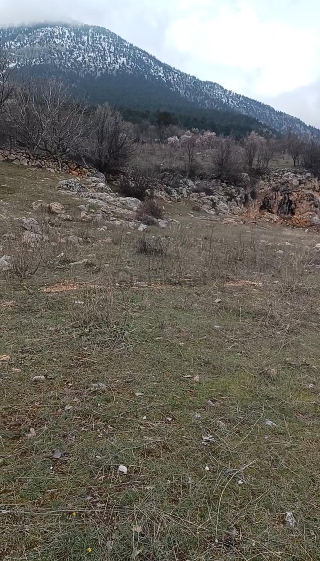 Pozantı Yenikonacıkta 1.032m2 Tek Tapulu İmarlı Satılık Son3 Gün - 20