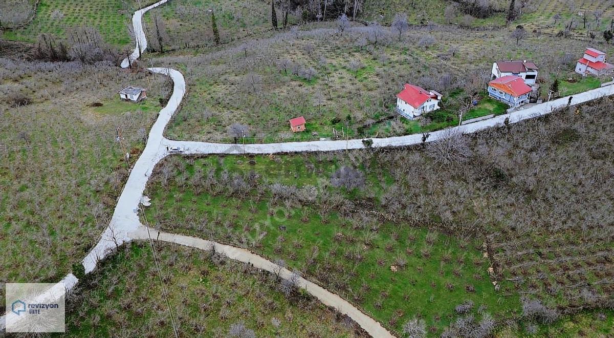 Revizyon'dan_villa Ruhsatı_alınmış Projeli**müstakil** Deniz 1km - 15
