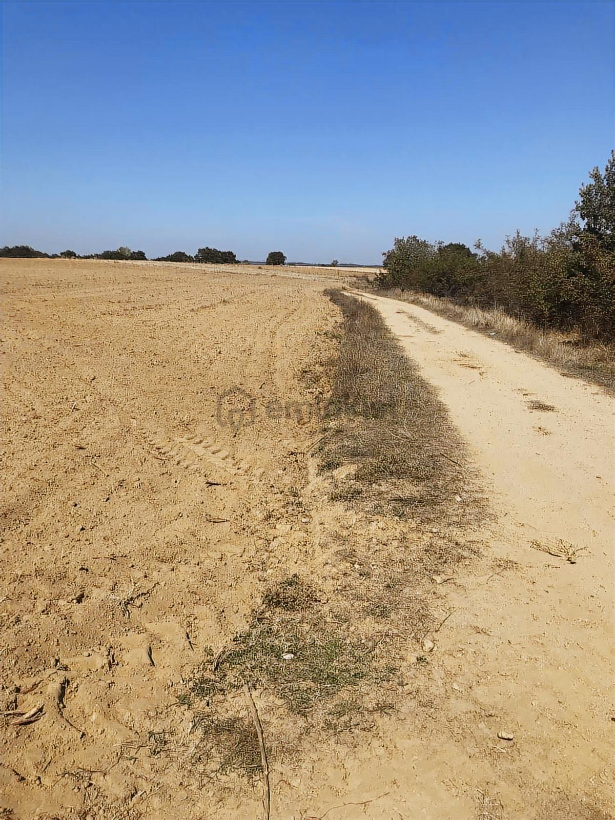 Köşe Başı İki Yola Cepheli Emsalsiz Tarla - 7