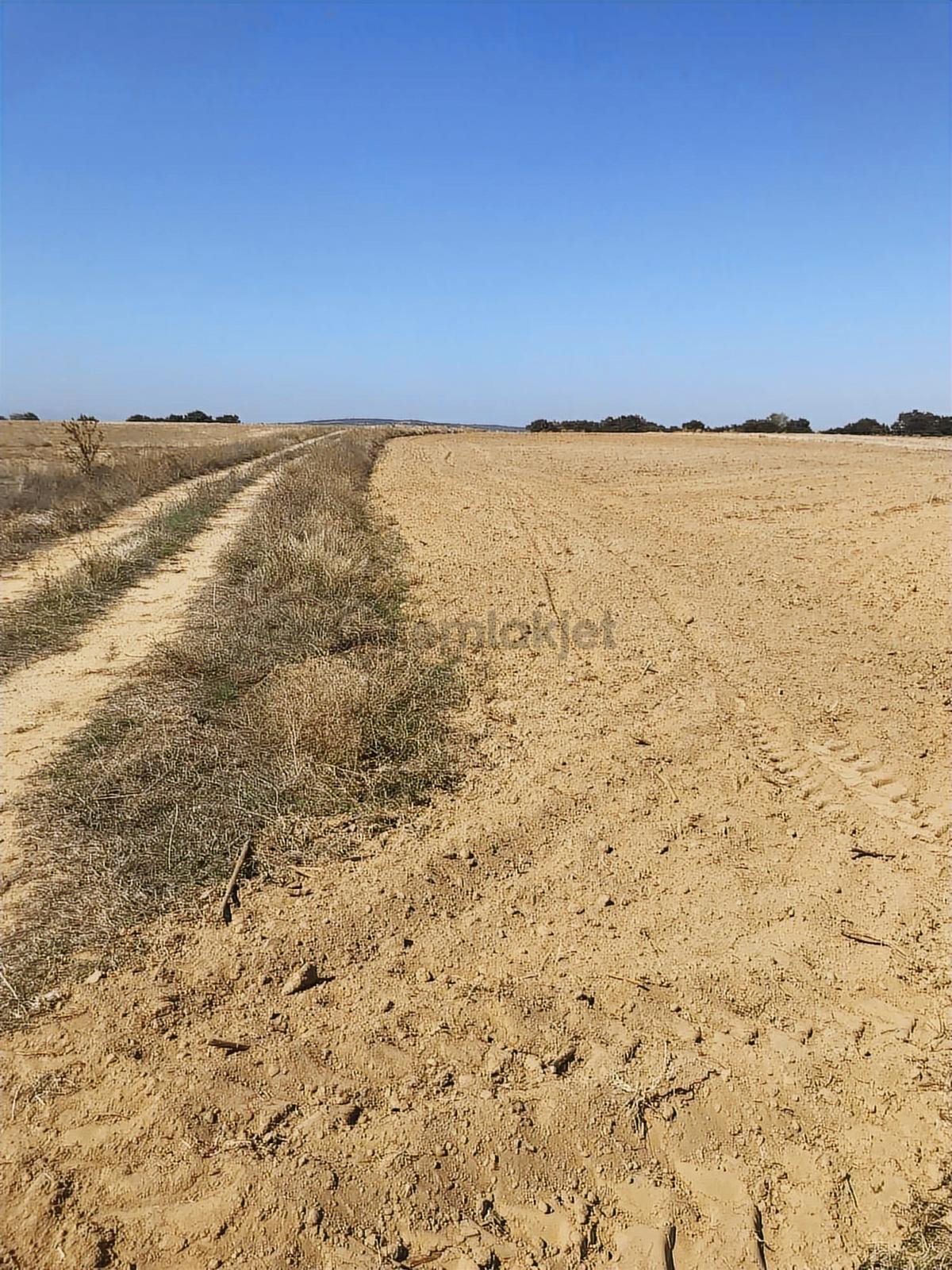 Köşe Başı İki Yola Cepheli Emsalsiz Tarla - 12