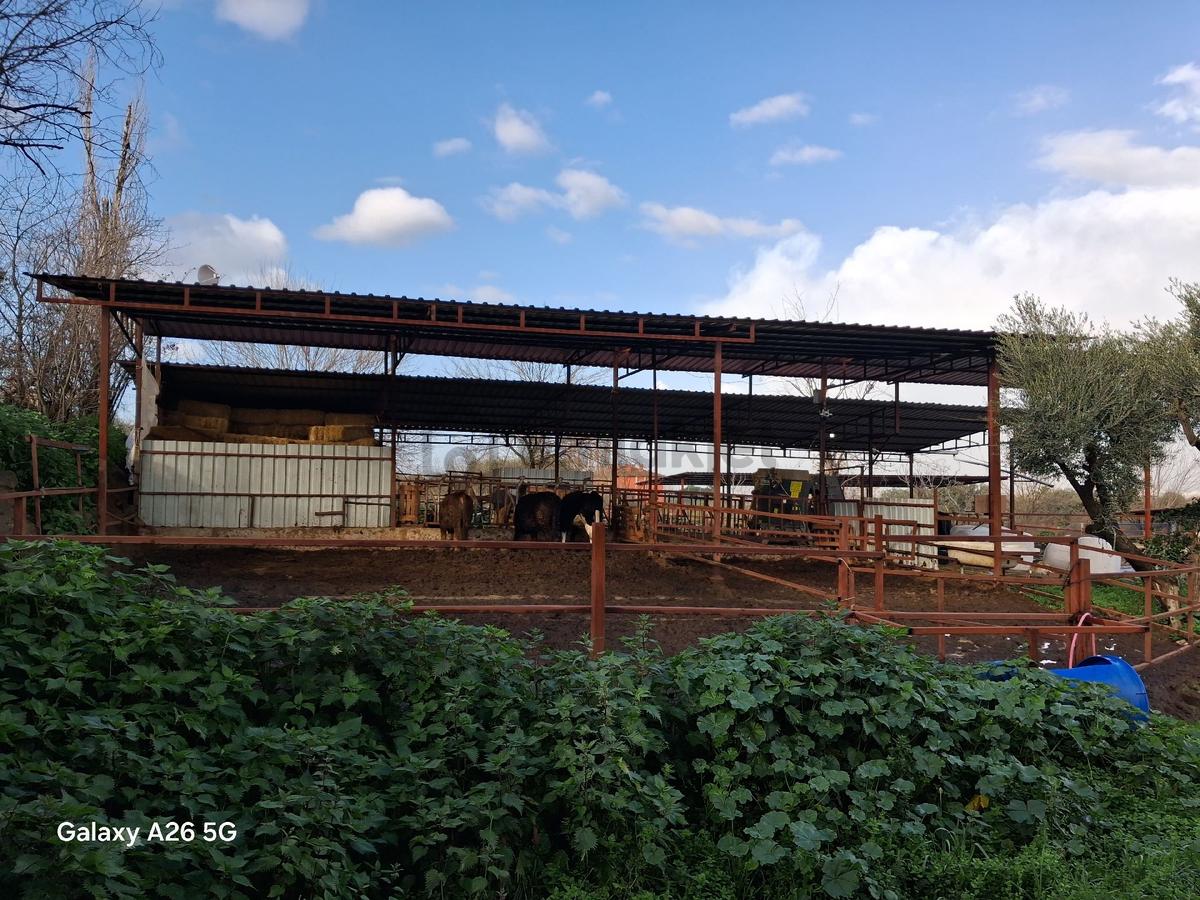 Sahibinden Satılık Hayvan Çiftligi - 8