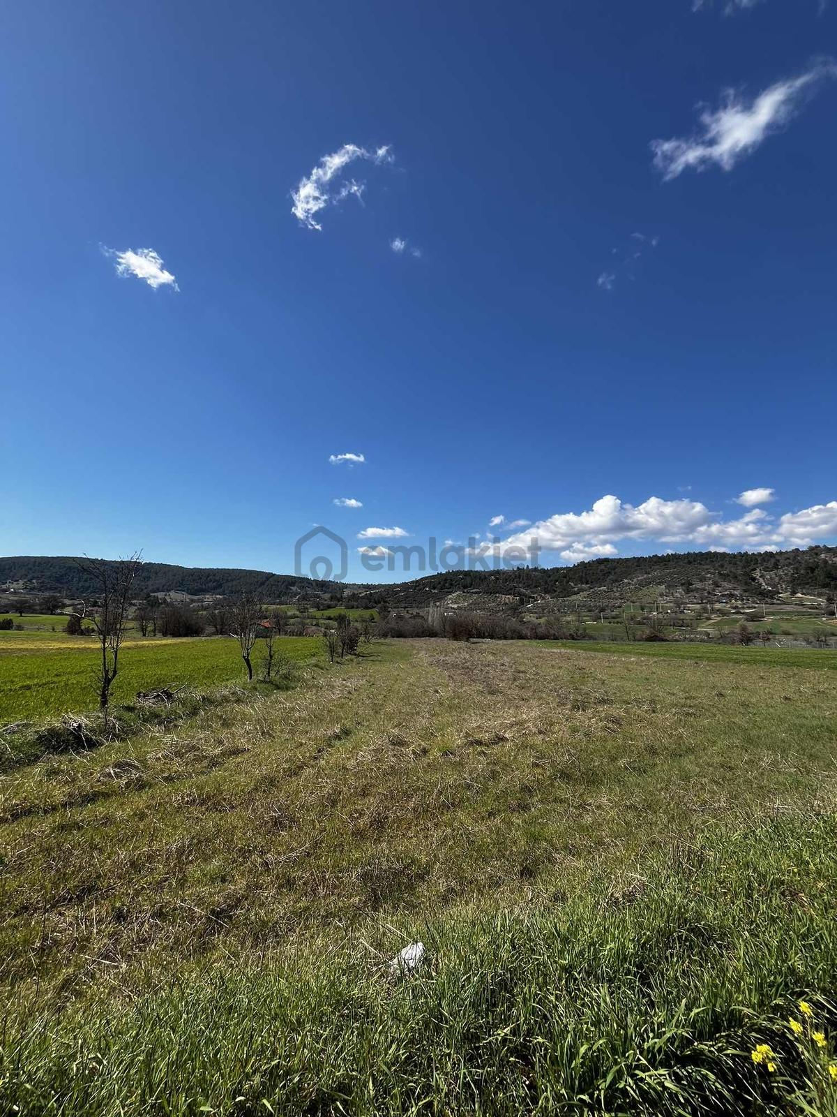 Muğla Menteşe Yenibağyaka Mah. 1.215 M2 Tarla - 7