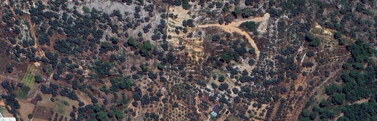 Goldhouse Dan Satılık Dalaman Da 802 M2 Tarla - 3