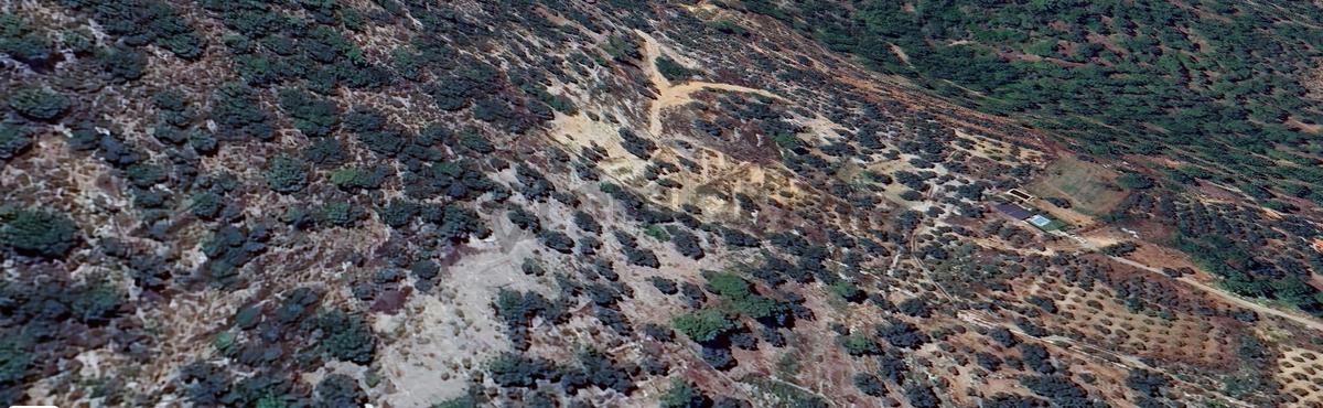 Goldhouse Dan Satılık Dalaman Da 802 M2 Tarla - 4