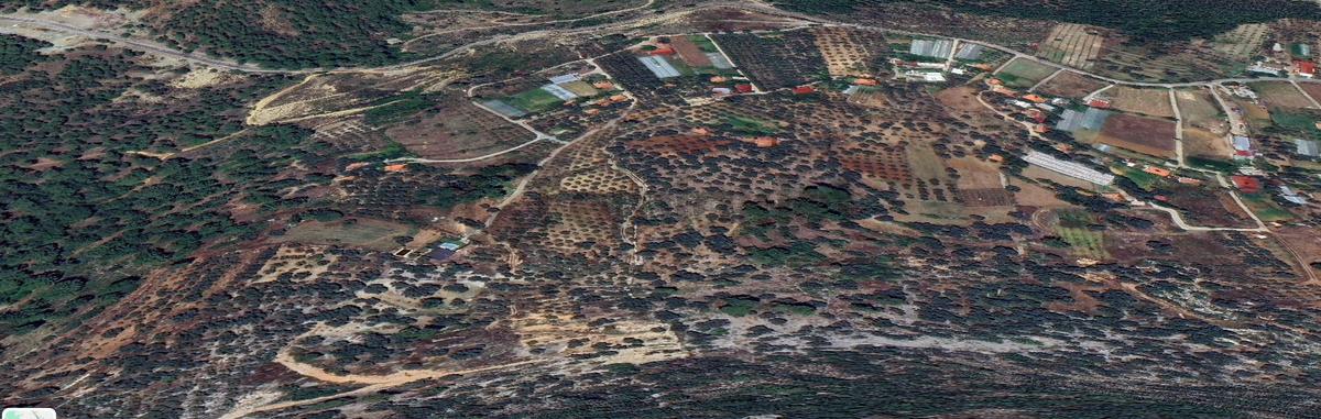 Goldhouse Dan Satılık Dalaman Da 802 M2 Tarla