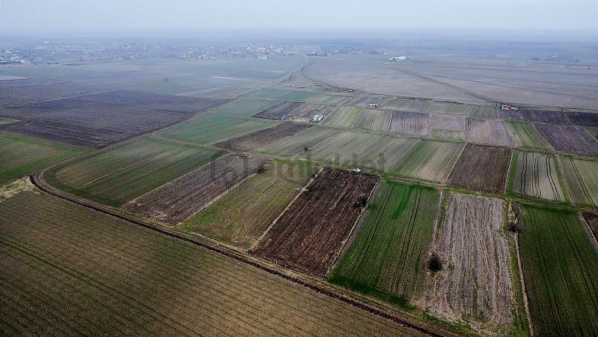 Tekirdağ Saray Kadıköy Bağ Yeri - 10
