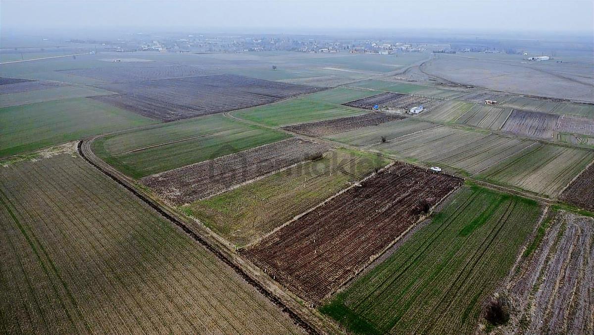 Tekirdağ Saray Kadıköy Bağ Yeri - 11