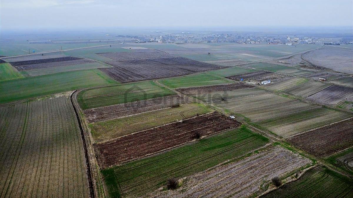 Tekirdağ Saray Kadıköy Bağ Yeri - 2