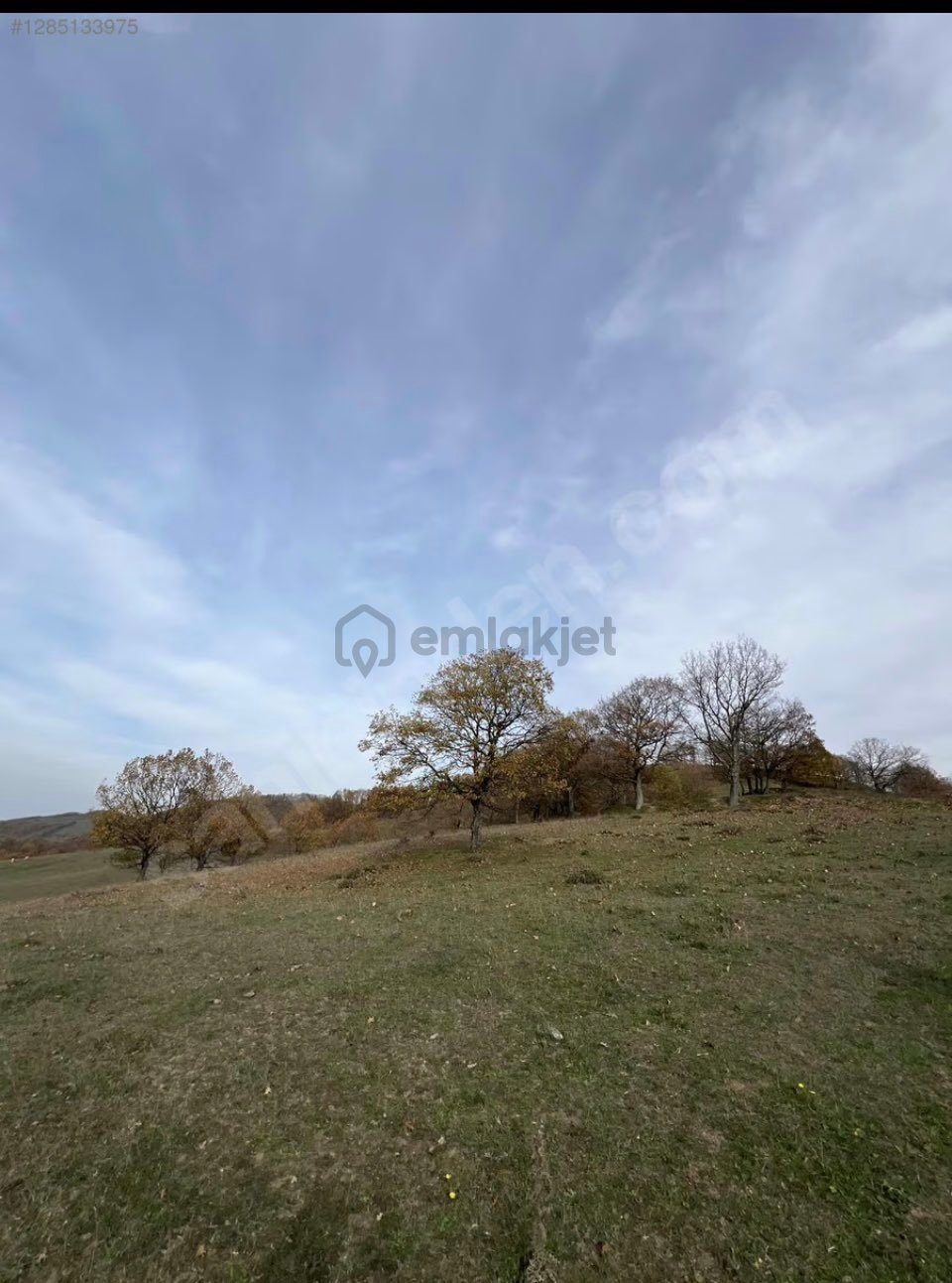 Burda Orhangazi Keramet 5.109 M2 - 5