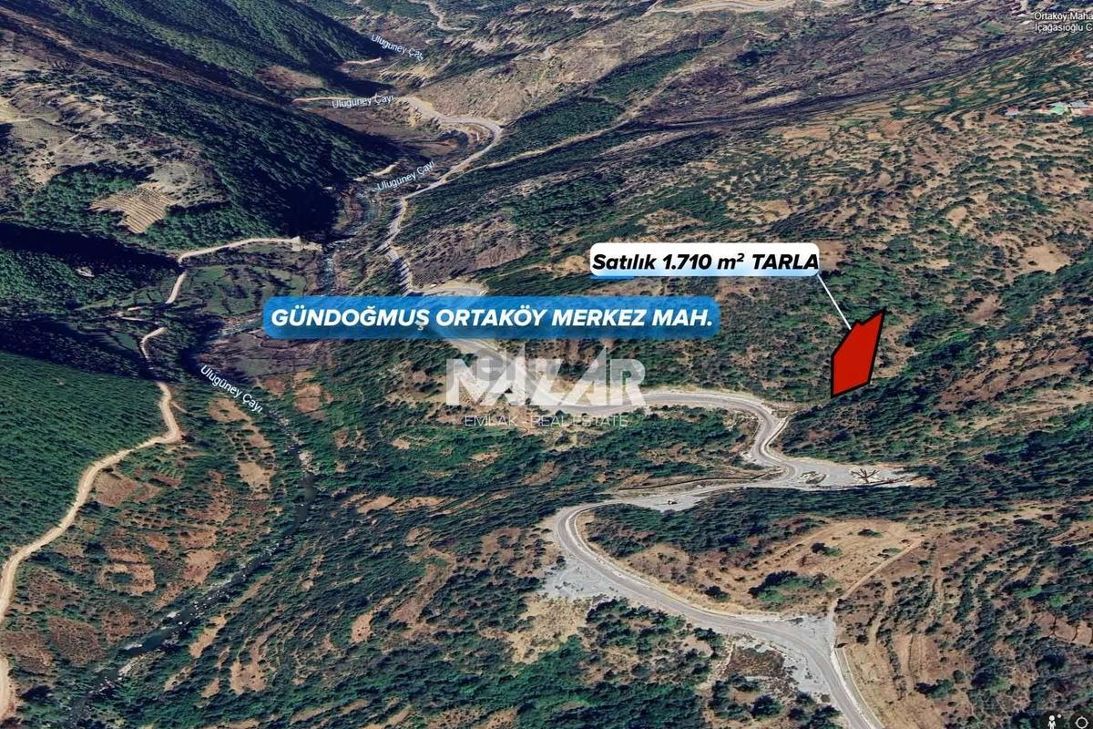 Gündoğmuş Ortaköy’de 1.710 M² Satılık Tarla - 2