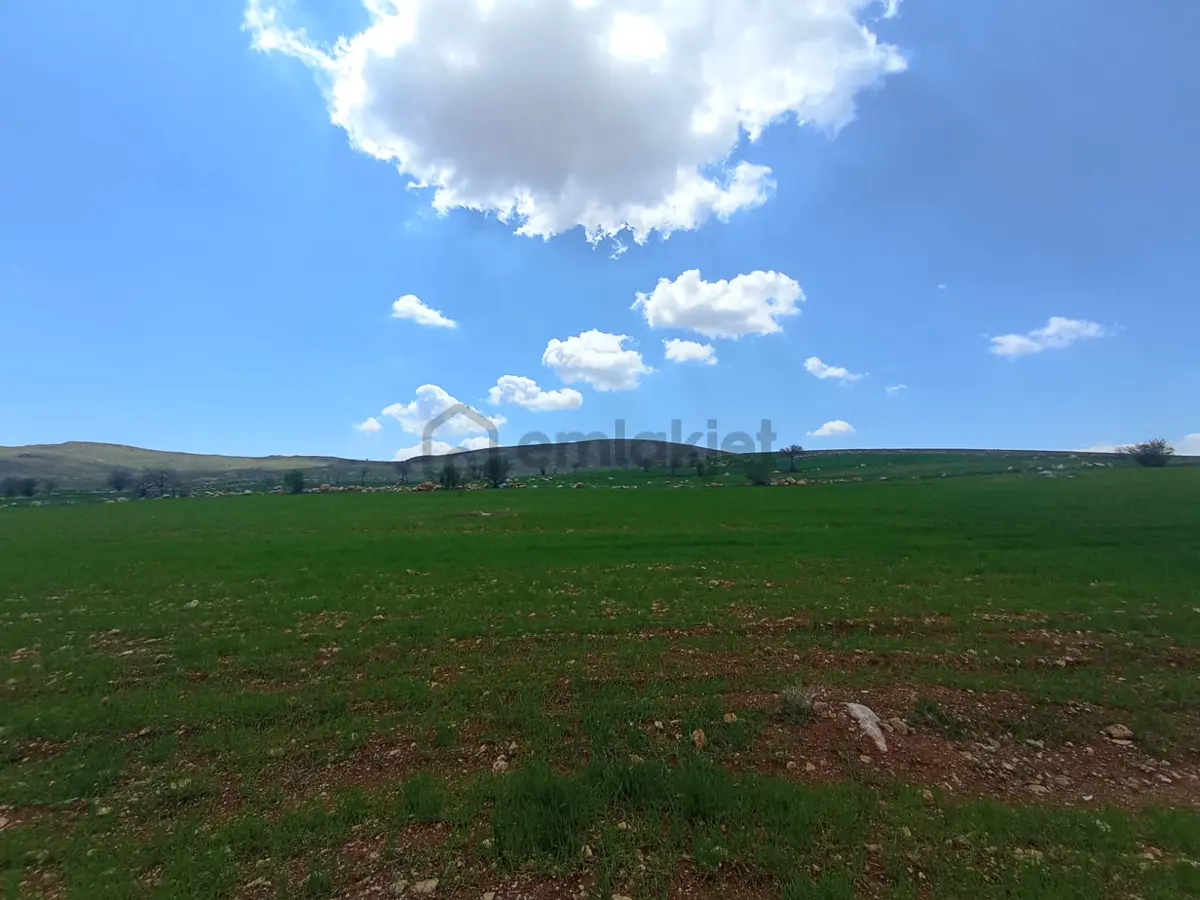 Meram Sarıkızda Müstakil Tapulu 8.202 M2 Tarla - 3