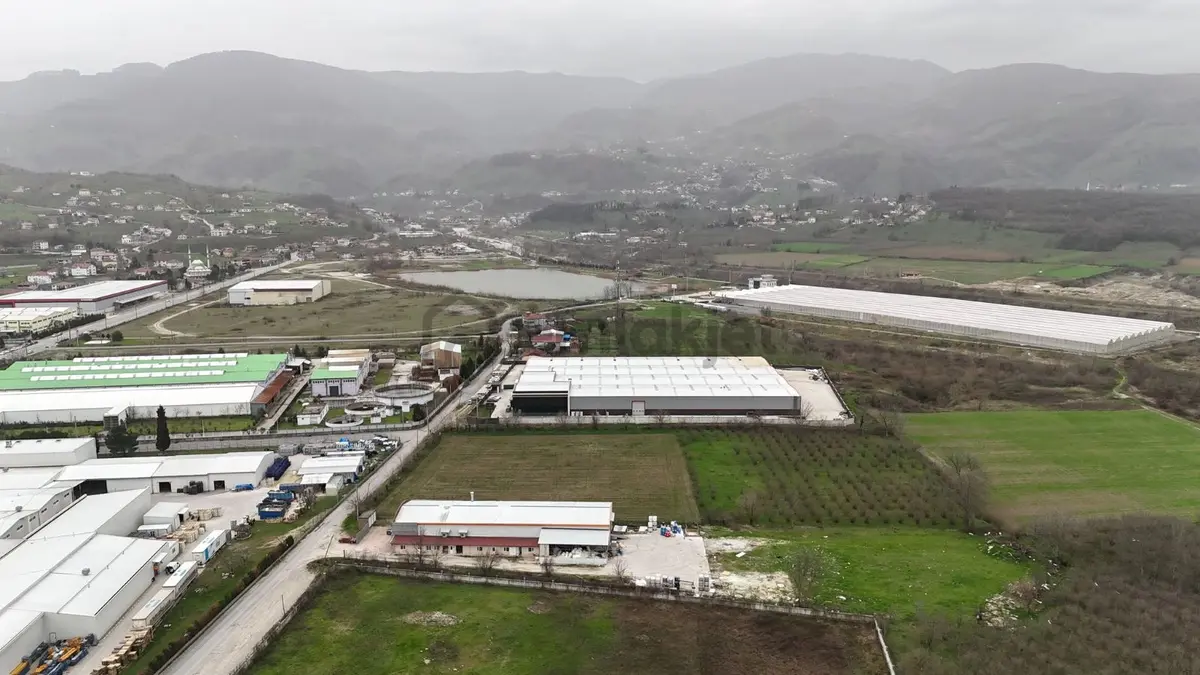 5.100 Metrekare Bacalı Sanayi Arsası - 8