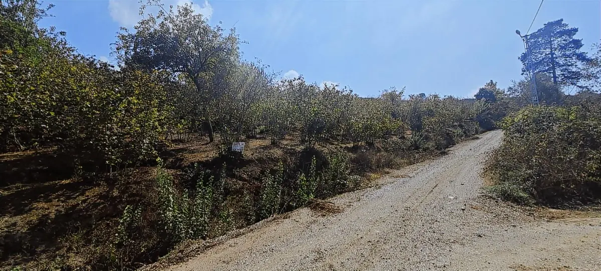 Aker Emlaktan Harika Manzara - 23