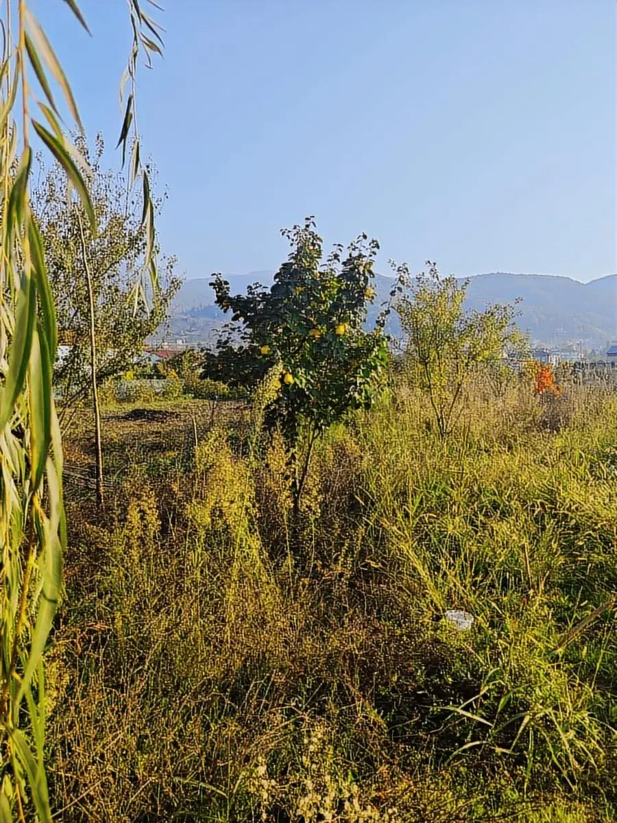 Benimevim Satılık Müstakil Ev 1150 M2 Arsa İçerisinde - 23