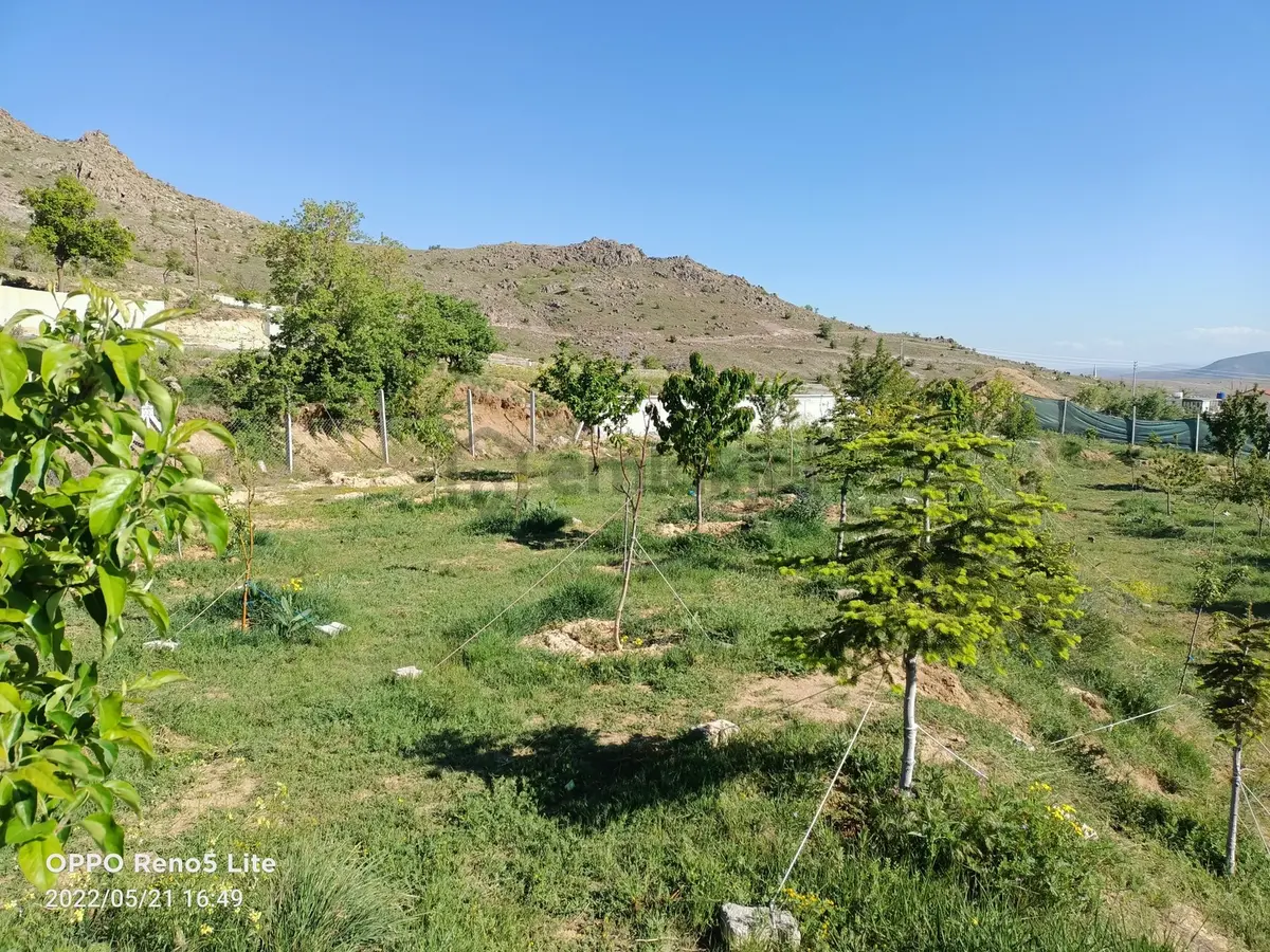 Sulutas'ta Satılık Büyük Bahçe - 19