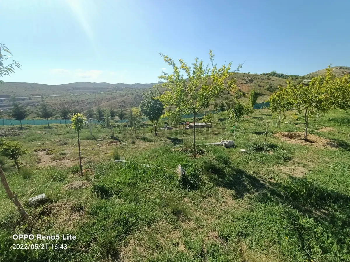 Sulutas'ta Satılık Büyük Bahçe - 21