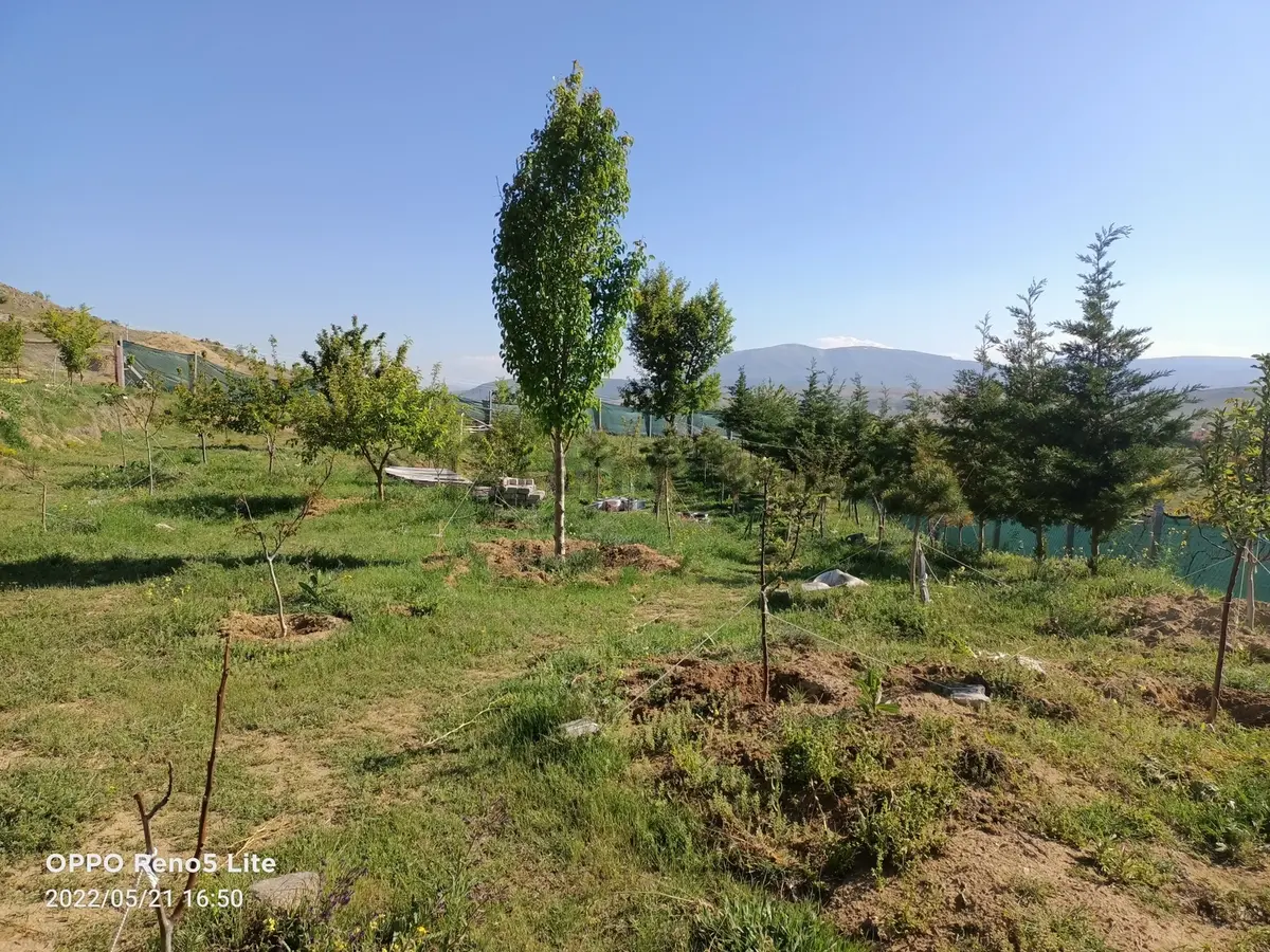 Sulutas'ta Satılık Büyük Bahçe - 5