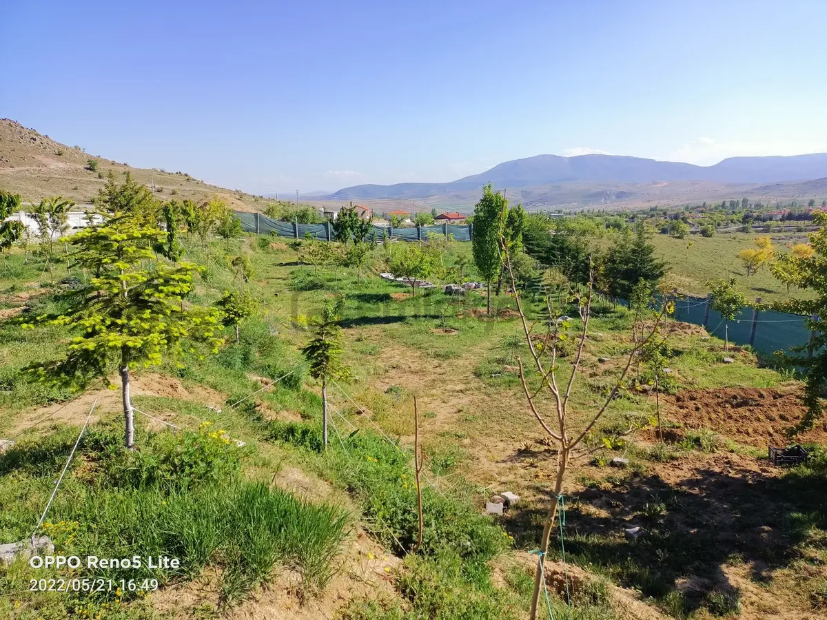 Sulutas'ta Satılık Büyük Bahçe - 16