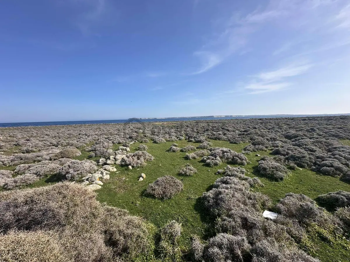 İmroz Emlak'tan Turizm İmar Planı İçerisinde Denize Çok Yakın - 17