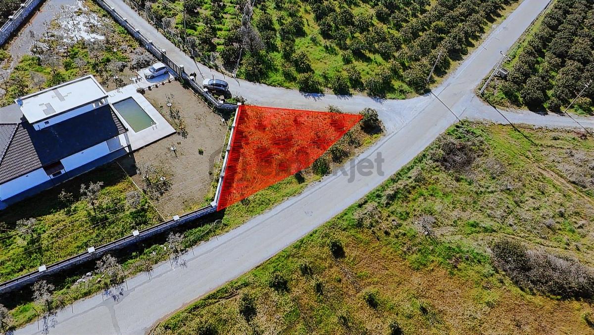 Eşsiz Mandalin Bahçesi - 12