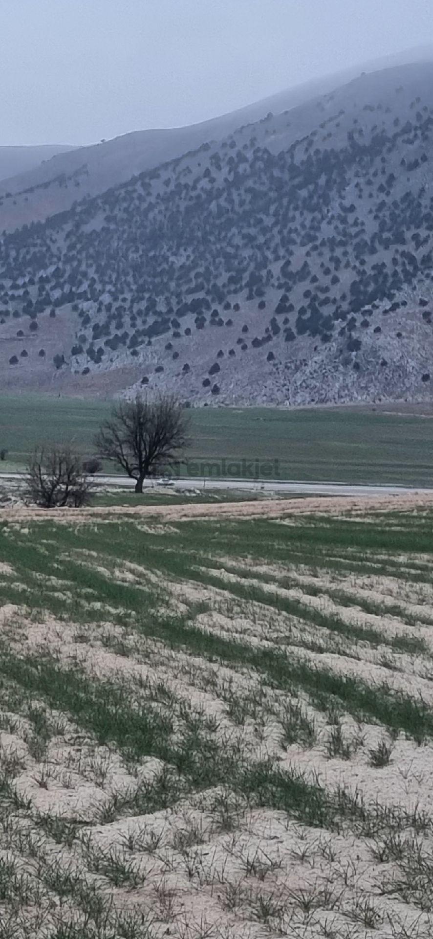 Sahibinden Korkuteli-elmalı Karayolu Üzerinde Sahibinden Satılık Tarla - 3