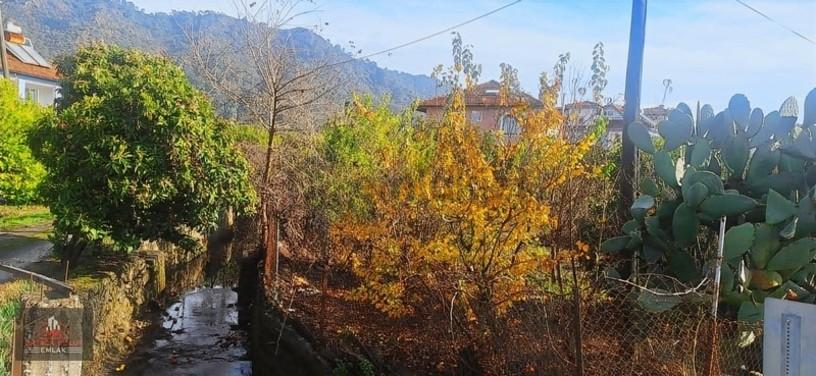 Muğla Ortaca Ekşiliyurt Mahallesin 486 M2 İmarlı Arsa Satılık - 6