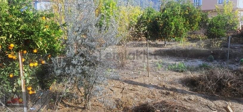 Muğla Ortaca Ekşiliyurt Mahallesin 486 M2 İmarlı Arsa Satılık - 8