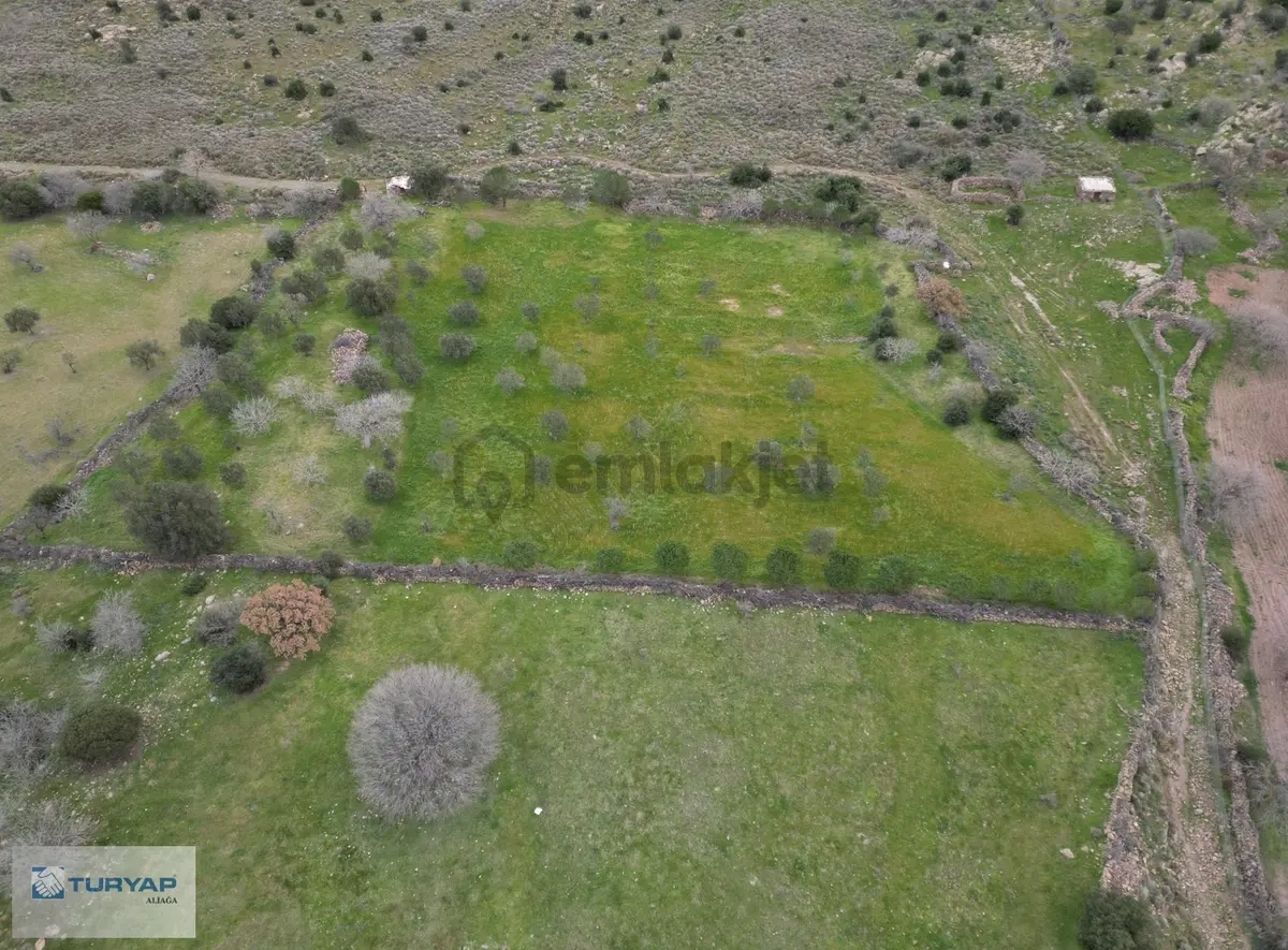 Şakran Cezaevine Yakın Satılık Tarla - 10