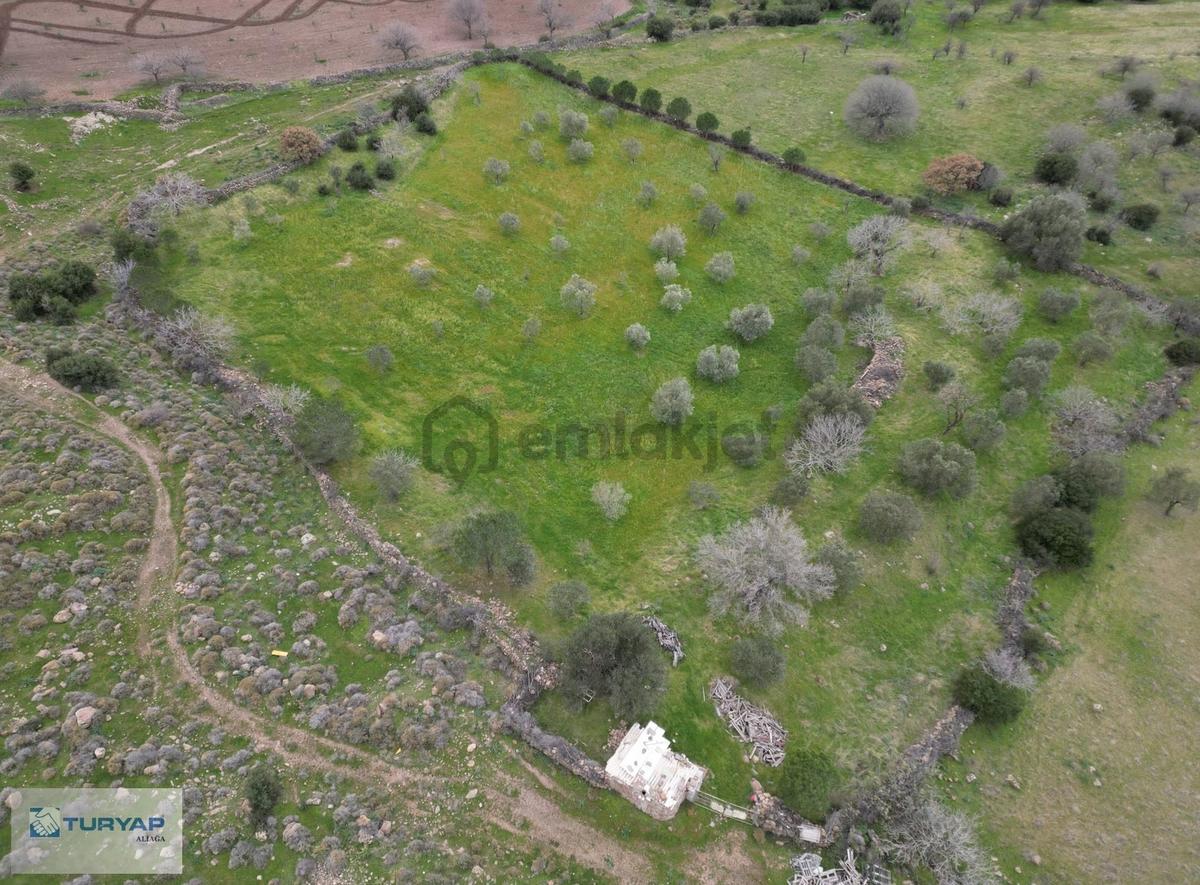 Şakran Cezaevine Yakın Satılık Tarla - 2