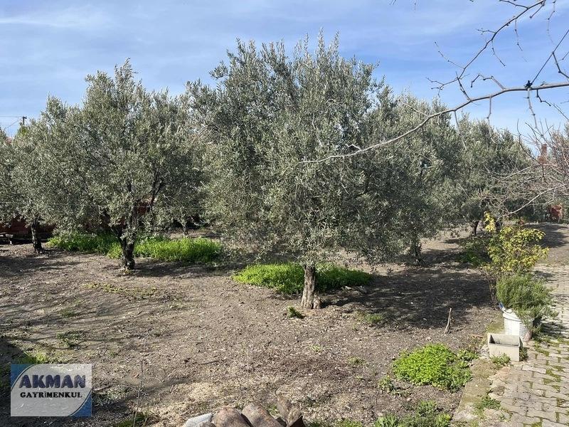 Süleymanlı Mh De 520 M2 Arsanın İçerisinde Müstakil Ev - 27